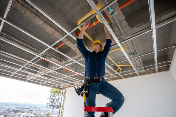 Best Same-Day Plumbing Service  in Iowa Colony, TX
