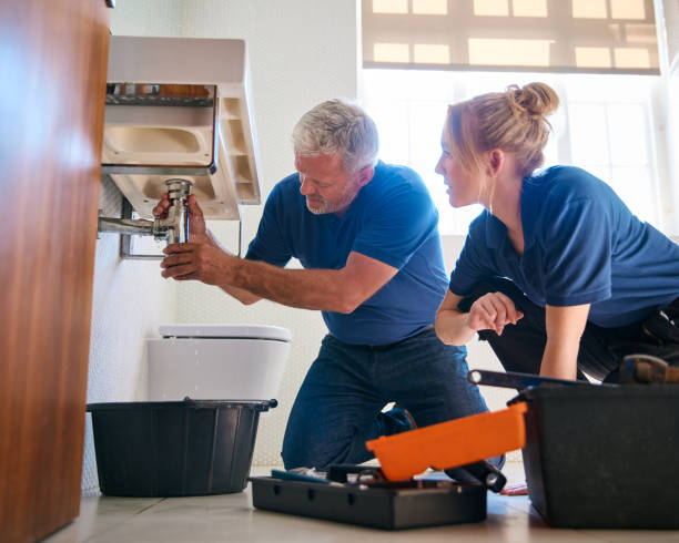 Best Residential Plumbing Services  in Iowa Colony, TX